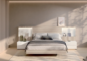 BAIXMODULS ESENZIA 4.0