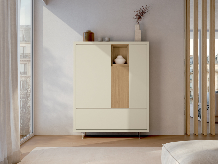 BAIXMODULS