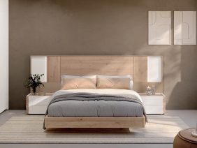 BAIXMODULS ESENZIA