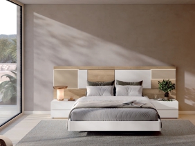 BAIXMODULS ESENZIA 4.0