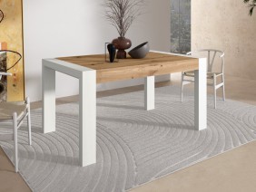mesa porteria ramis